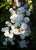 rambling rector (2).JPG