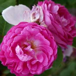 7cb051b4cbdc1a100a63d7a9679833014830483e