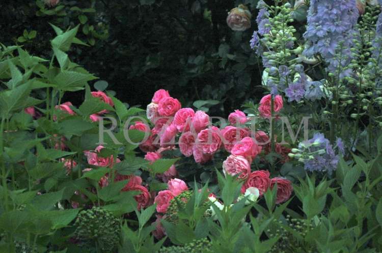 2016-06-19 20.06.54.jpg