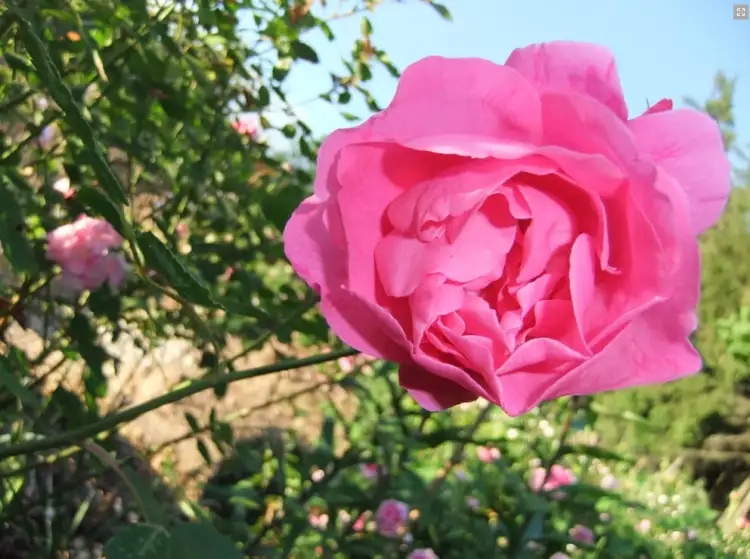 37ba2f3ac3e6d0328625281d06cdee59e19e465e