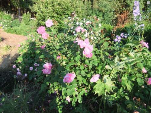 388ca37dec3d6ea4d83e7b058bc4bb6bc37c0306