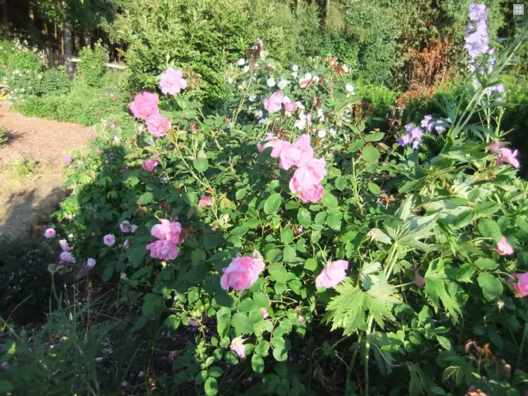 388ca37dec3d6ea4d83e7b058bc4bb6bc37c0306