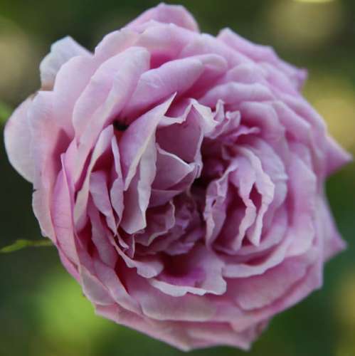 83e742711e57566c36a58d6367436e01d716dd12