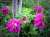 62fec10d7afe357af45cb454edfeabf882e4a5a8