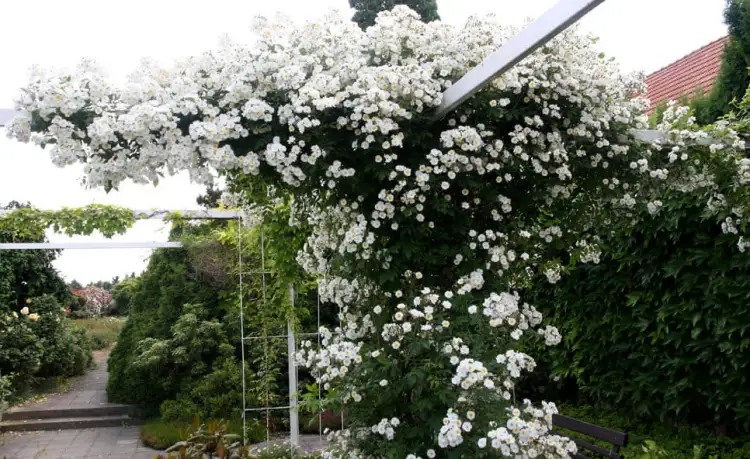 3bed8878a6336c6ba4f54adbd83eca151805d1b8