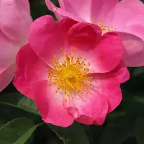 6fb2d9b0e4a2bfb871edada20d4f1af2685bb580